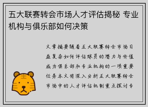 五大联赛转会市场人才评估揭秘 专业机构与俱乐部如何决策