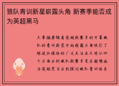 狼队青训新星崭露头角 新赛季能否成为英超黑马