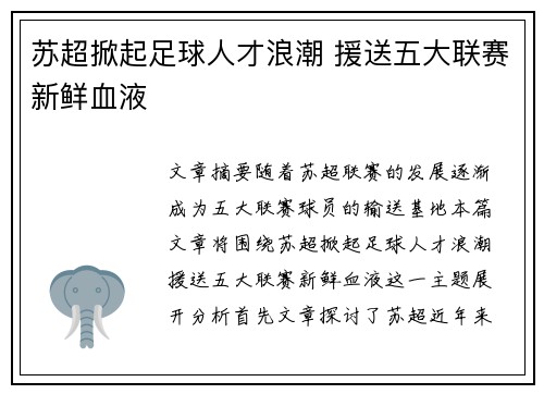 苏超掀起足球人才浪潮 援送五大联赛新鲜血液
